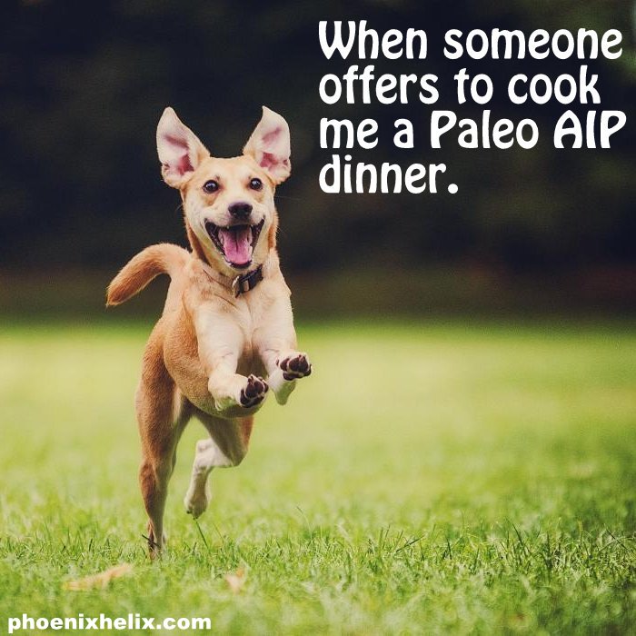 Life on the Paleo Autoimmune Protocol - a Story In Memes | Phoenix Helix Life on the Paleo Autoimmune Protocol - a Story In Memes | Phoenix Helix