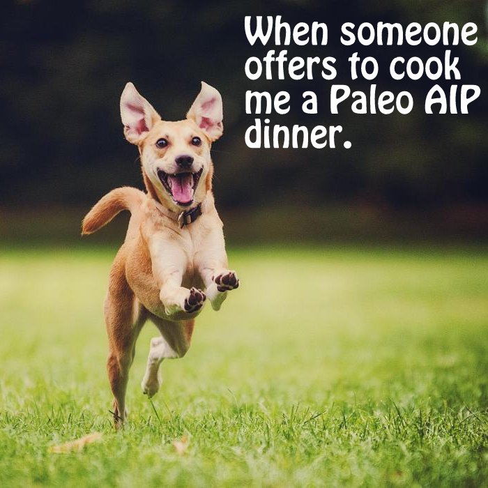 When someone offers to cook me a Paleo AIP dinner (photo of dog looking delighted as he runs toward camera)