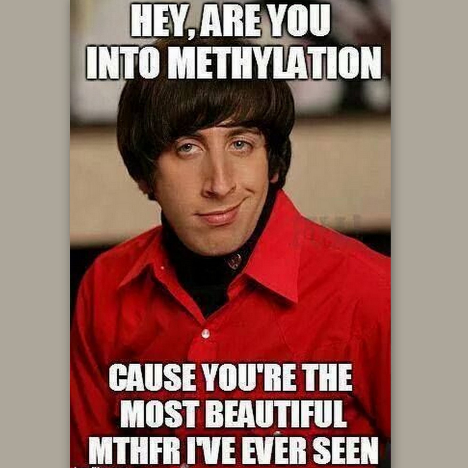 Hey, are you into methylation cause you're the most beautiful MTHFR I've ever seen (Howard from Big Bang Theory)