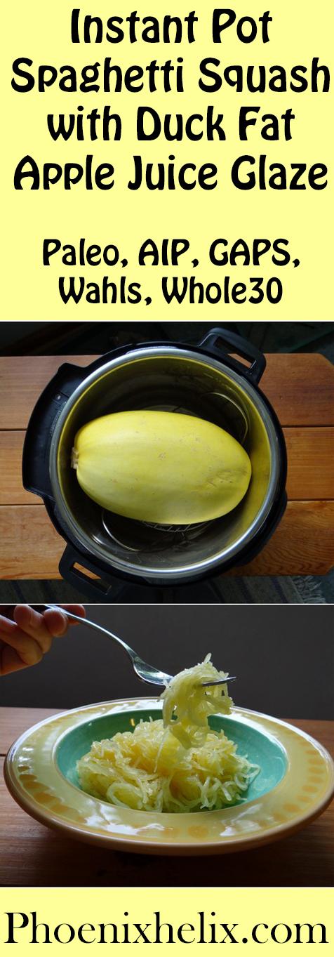 Instant Pot Spaghetti Squash with Duck Fat Apple Juice Glaze | Phoenix Helix