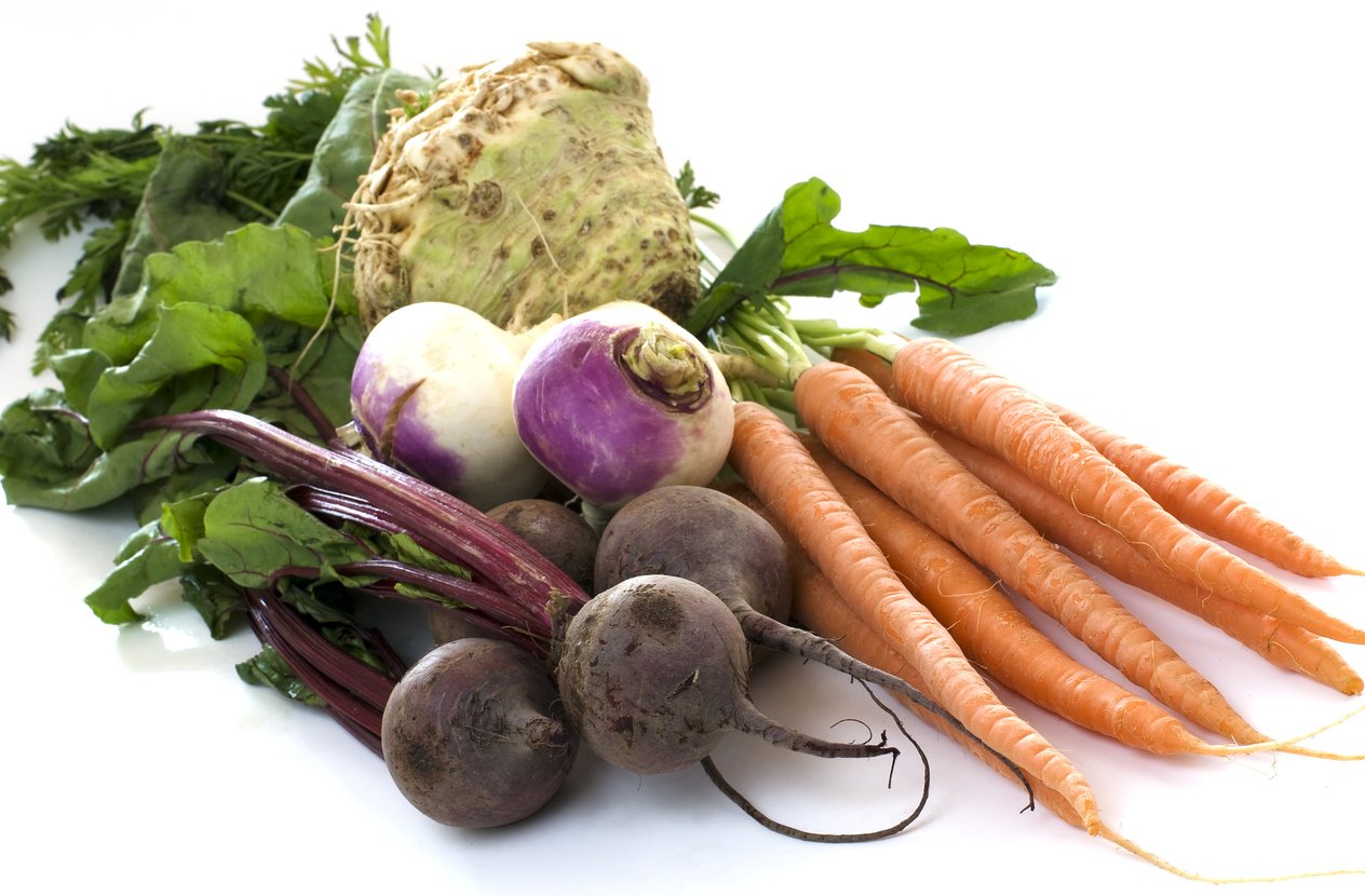 a pile of beets, turnips, celeriac, and carrots