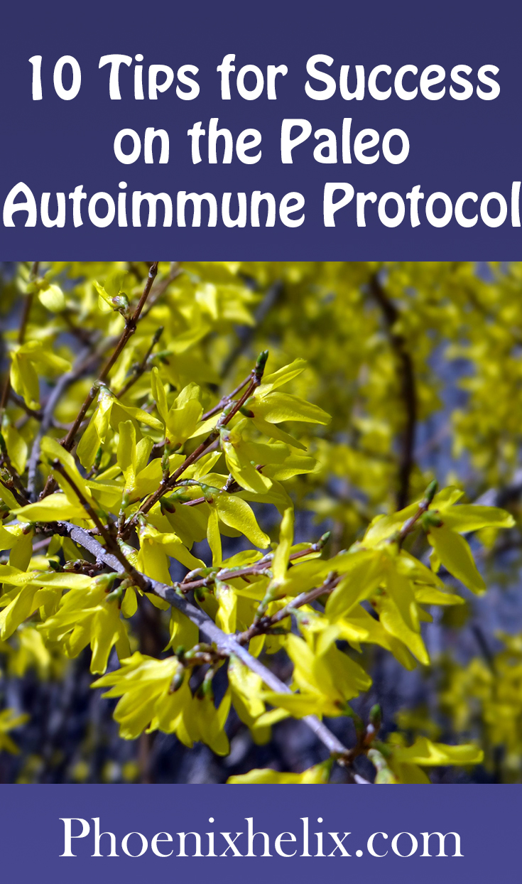 10 Tips for Success on the Paleo Autoimmune Protocol (AIP) | Phoenix Helix