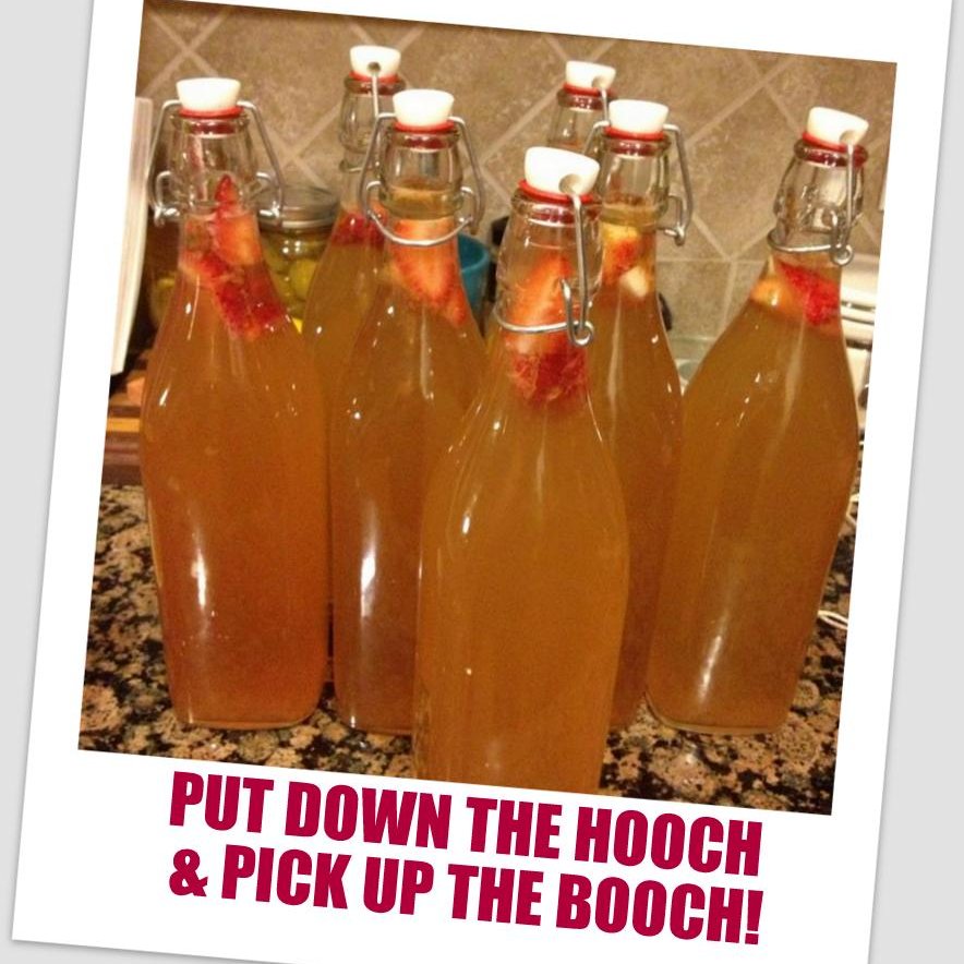 Everything You Need to Know About Kombucha | Phoenix Helix
