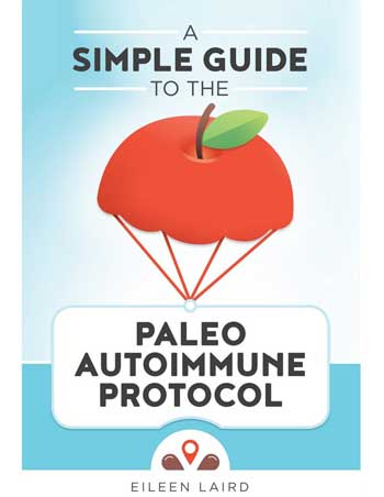 book: a simple guide to the paleo autoimmune protocol by Eileen Laird