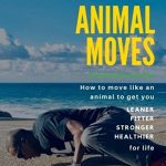 animal moves book cover