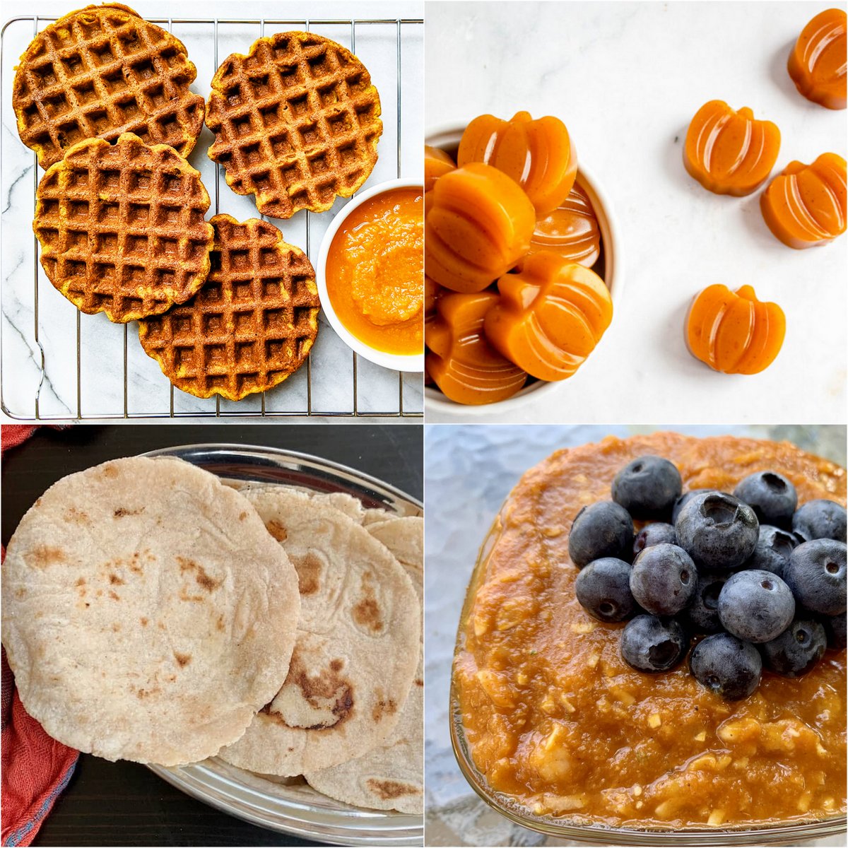 Paleo AIP Recipe Roundtable #391 | Phoenix Helix - *Featured Recipes: Pumpkin Tigernut Waffles, Pumpkin Spice Gummies, AIP Breakfast Porridge, and The Perfect Cassava Tortilla.