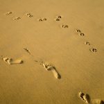 Footprints of a Woman and a Dog on Sand