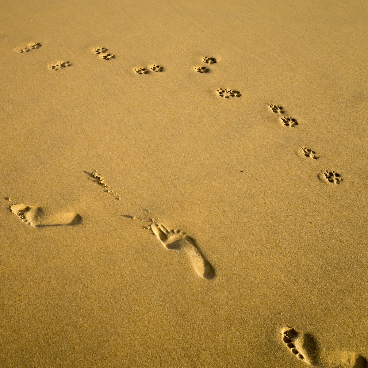 The Spoon Theory of Autoimmune Disease & How To Get More Spoons