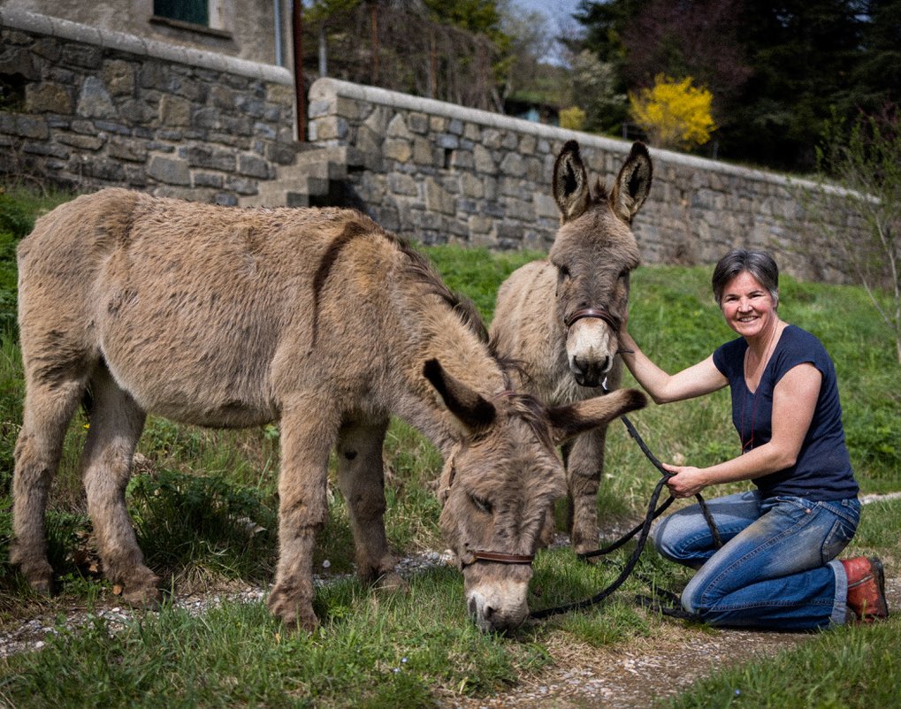 Jan relaxing outside with her donkeys as they graze in the sunshine