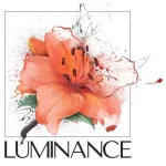 Luminance Logo with bright flower