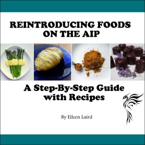 Ebook: Paleo AIP Reintroduction Guide with Recipes