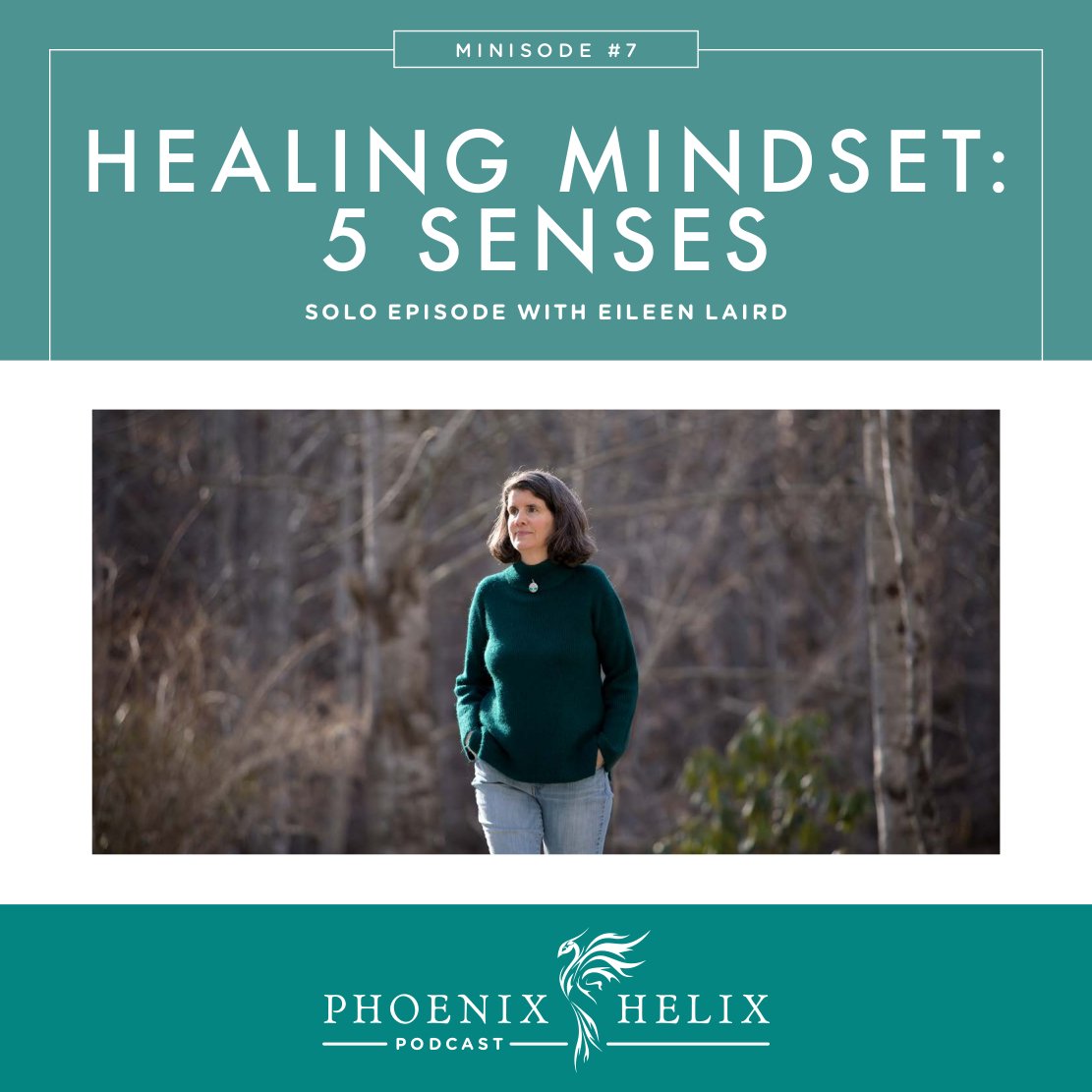 Mindset Minisode - 5 Senses | Phoenix Helix Podcast